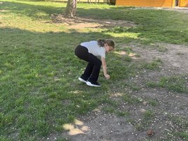 Včelí hrátky