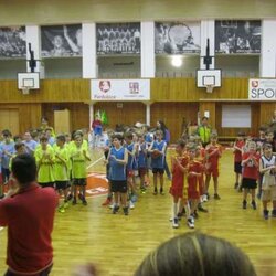 Liga škol v basketbalu