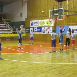 Liga škol v basketbalu