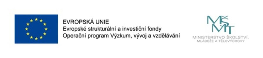 Personální podpora