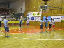 Liga škol v basketbalu